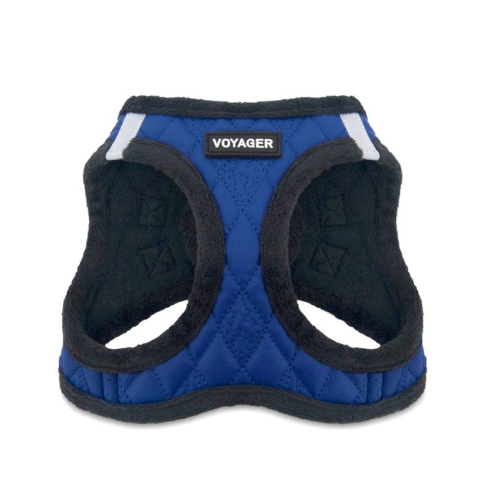 Blue Dog Harness